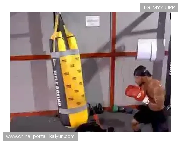 分析师评点诺曼战术失误：过度依赖重拳，未能有效破解哈尼防守